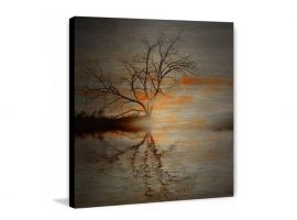 Fırçalanmış alüminyum